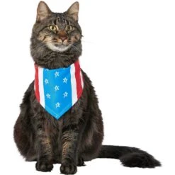 Frisco Stars & Stripes Dog & Cat Bandana -Cat Toy Shop 249329 PT3. AC SS1800 V1632422490