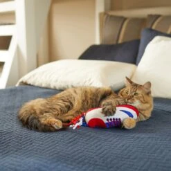 Frisco Baseball Cleat Cat Toy -Cat Toy Shop 252734 PT5. AC SS1800 V1615814504