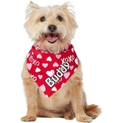 Frisco XOXO Hearts Personalized Dog & Cat Bandana -Cat Toy Shop 254203 PT6. AC SS1800 V1632427913