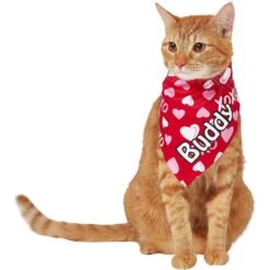 Frisco XOXO Hearts Personalized Dog & Cat Bandana -Cat Toy Shop 254203 PT7. AC SS1800 V1632417974