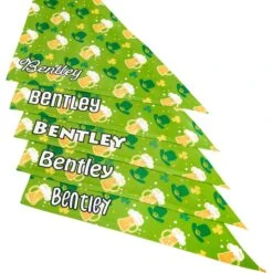 Frisco Green Ale Personalized Dog & Cat Bandana -Cat Toy Shop 254207 PT4. AC SS1800 V1618511566