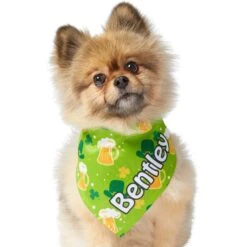 Frisco Green Ale Personalized Dog & Cat Bandana -Cat Toy Shop 254207 PT6. AC SS1800 V1618509755