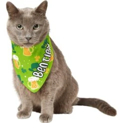 Frisco Green Ale Personalized Dog & Cat Bandana -Cat Toy Shop 254207 PT7. AC SS1800 V1618510956