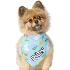Frisco Easter Bunny Personalized Dog & Cat Bandana -Cat Toy Shop 254211 PT6. AC SS1800 V1618509425