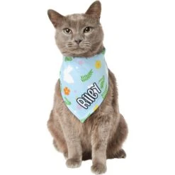 Frisco Easter Bunny Personalized Dog & Cat Bandana -Cat Toy Shop 254211 PT7. AC SS1800 V1618510982