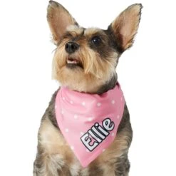 Frisco Polka Dot Personalized Dog & Cat Bandana 15 Frisco Polka Dot Personalized Dog & Cat Bandana -Cat Toy Shop 254223 PT6. AC SS1800 V1696432728