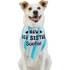 Frisco Big Sister Personalized Dog & Cat Bandana -Cat Toy Shop 254235 PT6. AC SS1800 V1619558258