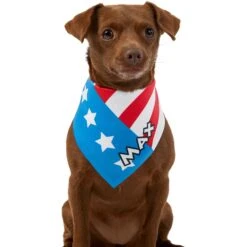 Frisco Americana Personalized Dog & Cat Bandana -Cat Toy Shop 254239 PT6. AC SS1800 V1619558231