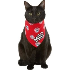 Frisco Patriotic Paws Personalized Dog & Cat Bandana -Cat Toy Shop 254243 PT7. AC SS1800 V1619559130
