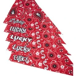 Frisco Paisley Printed Personalized Dog & Cat Bandana -Cat Toy Shop 254247 PT4. AC SS1800 V1618511570