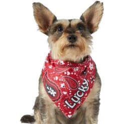 Frisco Paisley Printed Personalized Dog & Cat Bandana -Cat Toy Shop 254247 PT6. AC SS1800 V1618507975