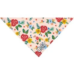 Frisco Floral Personalized Dog & Cat Bandana -Cat Toy Shop 254255 PT3. AC SS1800 V1618511861