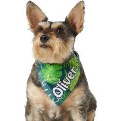 Frisco Tropical Palms Personalized Dog & Cat Bandana -Cat Toy Shop 254259 PT6. AC SS1800 V1632425201