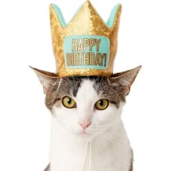 Frisco Happy Birthday Dog & Cat Crown & Frisco Dog & Cat Birthday Bandana -Cat Toy Shop 255523 PT2. AC SS1800 V1603716120