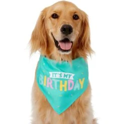 Frisco Happy Birthday Dog & Cat Crown & Frisco Dog & Cat Birthday Bandana -Cat Toy Shop 255523 PT3. AC SS1800 V1603716114