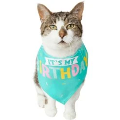Frisco Happy Birthday Dog & Cat Crown & Frisco Dog & Cat Birthday Bandana -Cat Toy Shop 255523 PT4. AC SS1800 V1603716120