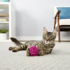 Frisco Moppy Ball Cat Toy With Catnip & Sentry Petrodex Veterinary Strength Enzymatic Malt Flavor Cat Dental Kit -Cat Toy Shop 255587 PT2. AC SS1800 V1603545392