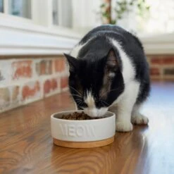 Frisco Round Meow Non-skid Ceramic Cat Bowl With Wood Base 8 Frisco Round Meow Non-skid Ceramic Cat Bowl With Wood Base -Cat Toy Shop 256078 PT2. AC SS1800 V1615313612