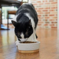 Frisco Oval Meow Non-skid Ceramic Cat Bowl With Wood Base -Cat Toy Shop 256080 PT2. AC SS1800 V1615310782
