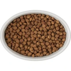 Frisco Oval Meow Non-skid Ceramic Cat Bowl With Wood Base -Cat Toy Shop 256080 PT5. AC SS1800 V1615312016