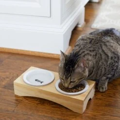 Frisco Double Elevated Cat Bowl With Wood Stand -Cat Toy Shop 256082 PT2. AC SS1800 V1615312650