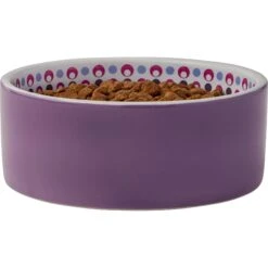 Frisco Kaleidoscope Pattern Non-skid Ceramic Dog & Cat Bowl -Cat Toy Shop 256090 PT3. AC SS1800 V1615311698