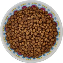 Frisco Kaleidoscope Pattern Non-skid Ceramic Cat Dish -Cat Toy Shop 256092 PT5. AC SS1800 V1617042691