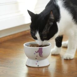 Frisco Cat Print Non-skid Elevated Ceramic Cat Bowl, Short -Cat Toy Shop 256096 PT2. AC SS1800 V1616522571