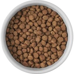 Frisco Cat Print Non-skid Elevated Ceramic Cat Bowl, Short -Cat Toy Shop 256096 PT4. AC SS1800 V1616522576