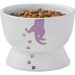 Frisco Cat Print Non-skid Elevated Ceramic Cat Bowl, Short -Cat Toy Shop 256096 PT5. AC SS1800 V1616522496