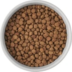 Frisco Cat Print Non-Skid Elevated Ceramic Cat Bowl, Tall -Cat Toy Shop 256099 PT4. AC SS1800 V1616522538