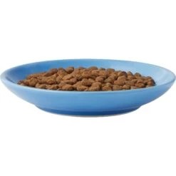 Frisco Cat Face Non-skid Ceramic Cat Dish, Blue -Cat Toy Shop 256101 PT4. AC SS1800 V1617130592