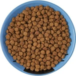 Frisco Cat Face Non-skid Ceramic Cat Dish, Blue -Cat Toy Shop 256101 PT5. AC SS1800 V1615321282