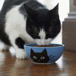 Frisco Cat Face Non-skid Ceramic Cat Bowl, Blue -Cat Toy Shop 256103 PT4. AC SS1800 V1617997004