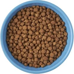 Frisco Cat Face Non-skid Ceramic Cat Bowl, Blue -Cat Toy Shop 256103 PT5. AC SS1800 V1615312900