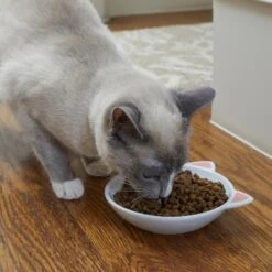 Frisco Cat Face Non-skid Ceramic Cat Dish -Cat Toy Shop 256105 PT2. AC SS1800 V1615310882