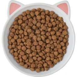 Frisco Cat Face Non-skid Ceramic Cat Dish -Cat Toy Shop 256105 PT5. AC SS1800 V1615321295