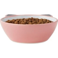 Frisco Cat Face Non-skid Ceramic Cat Bowl, Pink -Cat Toy Shop 256107 PT4. AC SS1800 V1616522565
