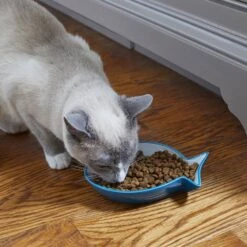 Frisco Fish Shaped Non-skid Ceramic Cat Dish -Cat Toy Shop 256109 PT3. AC SS1800 V1617196297