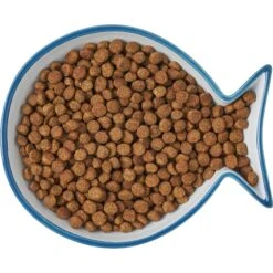 Frisco Fish Shaped Non-skid Ceramic Cat Dish -Cat Toy Shop 256109 PT6. AC SS1800 V1617196895