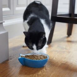 Frisco Fish Shaped Non-skid Ceramic Cat Bowl -Cat Toy Shop 256111 PT6. AC SS1800 V1617037703
