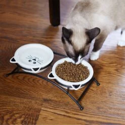 Frisco Cat Face Non-skid Elevated Double Ceramic Cat Bowl -Cat Toy Shop 256113 PT2. AC SS1800 V1616522604