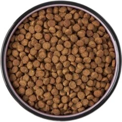 Frisco Paris Non-skid Ceramic Cat Dish -Cat Toy Shop 256117 PT5. AC SS1800 V1615311392