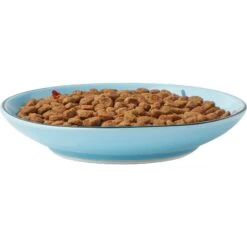Frisco New York Non-skid Ceramic Cat Dish -Cat Toy Shop 256119 PT5. AC SS1800 V1618494742