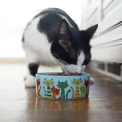 Frisco New York Non-skid Ceramic Cat Bowl -Cat Toy Shop 256121 PT2. AC SS1800 V1615312331