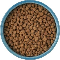 Frisco New York Non-skid Ceramic Cat Bowl -Cat Toy Shop 256121 PT5. AC SS1800 V1615311387