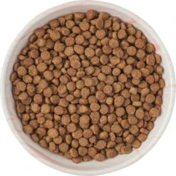 Frisco Marble Design Non-skid Ceramic Cat Bowl -Cat Toy Shop 256125 PT5. AC SS1800 V1615311382