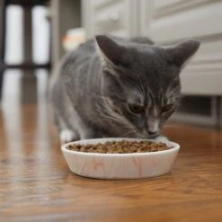 Frisco Marble Design Non-skid Ceramic Cat Bowl -Cat Toy Shop 256125 PT6. AC SS1800 V1617037714