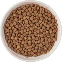 Frisco Marble Design Non-skid Ceramic Cat Dish -Cat Toy Shop 256127 PT5. AC SS1800 V1615321285