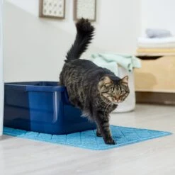 Frisco Quilted Cat Litter Mat 8 Frisco Quilted Cat Litter Mat -Cat Toy Shop 258210 PT3. AC SS1800 V1675279933